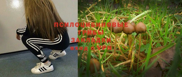 метамфетамин Алексеевка