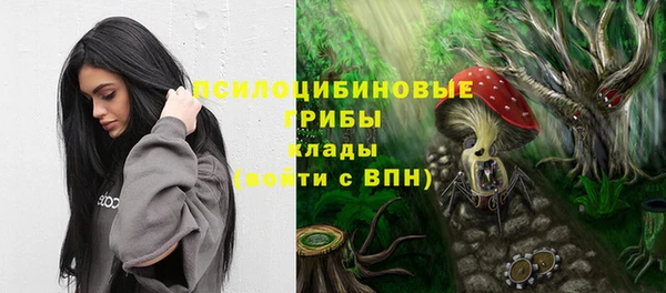 Альфа ПВП Алексин